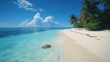 Turtle in ocean near beach. Tropical island with white sand and palm trees. Blue sky and white clouds in background. photo