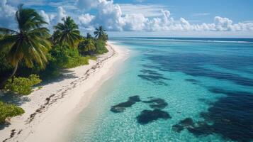 Tropical island beach view. Palm trees on the shore. Blue water and sand. Bright sky and fluffy white clouds. Serene landscape. photo