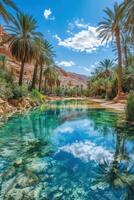 Palm Trees line Calm Turquoise Water. Rocks show under Clear Surface. Sky and Clouds Reflect in Tropical Oasis. Desert hills surround Jungle. photo