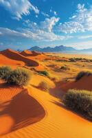 Sand dunes landscape. Desert hills with blue sky and clouds. Mountains and vegetation in distance. Scenic land. Summer scene. photo
