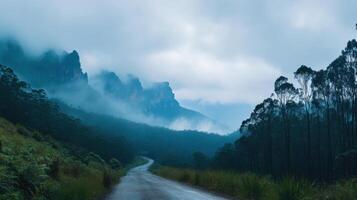 Fog covers tall rock mountains. Trees grow by empty path. Clouds are dense. The scene is cool and calm. photo