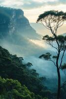 Mountain view. Cloudy sky above green forest. Fog rolls between trees. Landscape of tall rock formation. Scenic nature background. photo
