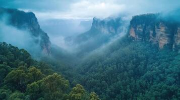Mountain cliffs. Forest valley. Cloudy sky. Fog and trees. Rocks and forest. Natural landscape. Scenic view. Blue green trees. Mountain scene. Nature background. photo