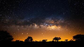 Night sky with stars. Galaxy over trees. Dark landscape. Yellow glow. Beautiful sky. Starry night. Space background. photo
