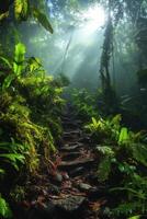 Jungle path climbs up. Sun shines through dense plants. Green ferns and moss cover all. Nature scene in tropical forest. photo