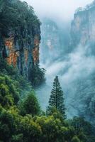 Mountain cliffs view. Mist rises through trees. Blue rocky wall landscape. Green forest foreground. Cloudy valley scene. photo