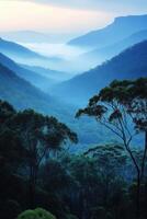 Blue mountains landscape. Dense green trees in foreground. Mountain range receding into misty distance. Peaceful natural vista. photo