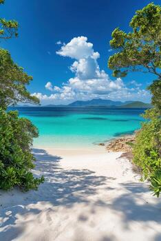 Tropical beach scene. White sand and blue water. Trees frame the view. Summer day with bright sky and clouds. Beautiful nature background. photo