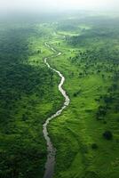 Green landscape view. River flows through plain. Water stream across field. Natural scenery background. Aerial top shot from above of jungle vegetation. photo