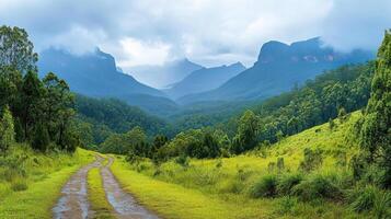 Green valley view. Mountain range with trees. Path going through nature. Clouds over mountains on nice day. Fresh air in beautiful area. photo