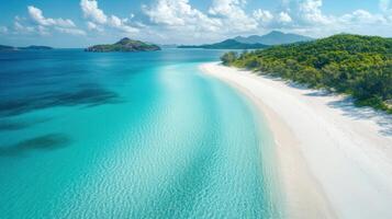 Ocean view. Blue water and white sand. Tropical beach scene. Paradise coast. Island with trees. Landscape aerial. Calm sea and clear sky. Vacation background photo