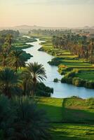 River flows through lush green valley. Palm trees line banks of stream. Distant mountains rise behind wide fields. Peaceful and calm scene. photo
