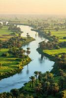River flows through green land. Water stream with many trees. Aerial view of natural scene. Calm environment with palm trees. photo