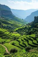 Green fields in valley. Farm landscape in mountains. Sunny scenic hills. Countryside view. Natural outdoor setting. photo