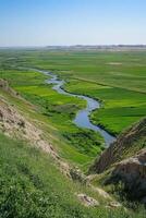 Green grass landscape with small river flowing through the valley in the sunny day. Scenic open field with creek and blue sky. Clear view of river from hill. photo