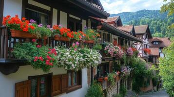 Old houses with flowers. Balconies display flower boxes. Plants overflow the windowsills. Cozy buildings with trees. Traditional European style architecture shows floral beauty. photo