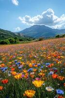 Flower meadow with many colors. Blue sky and clouds above mountain in the background. Beautiful landscape with wildflowers and grass in summer. photo