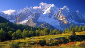 Snowy mountain peaks under bright blue sky. Trees and field in foreground. Mountain landscape in morning light. Sunny day scenery. photo