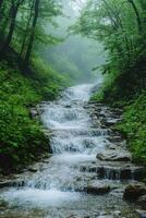 Forest stream flows down rocks. Green trees on banks. Water cascade in woodland. Nature scene with water movement. Beautiful natural landscape. photo