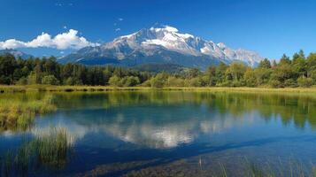 Mountain Reflecting in Lake. Clear blue sky above. Green trees on the shore. Snow on peaks. Scenic landscape. Nature background. Calm water. photo