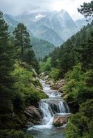 Mountain river flows through green forest. Water cascades over rocks. Trees surround the stream with misty mountain peaks in distance. photo