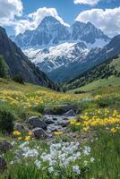 Mountain valley with flowers. River flows in a field. Snow capped mountain range in the background. Sunny scenic landscape view. photo