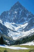 Mountain peak view. Snow covers top of tall mountain. Green trees at bottom of mountain. Blue sky above. Landscape nature scene. photo