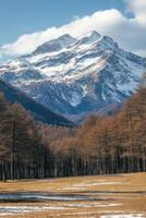 Mountain peak with snow. Trees stand tall. Valley view. Sky is blue. Clouds pass by. Forest on plain. photo