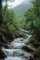 Mountain stream flowing. Forest trees surround water. Peaceful nature landscape. Green trees in background. Clear fresh water cascades down rocks. photo