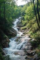 Waterfall cascades down rocky river. Water flows fast in forest. Green trees surround stream. Beautiful nature in summer season. Scenic landscape with water. photo