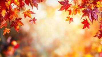 Bright orange and red maple leaves border with soft light. Autumn scene. Fall foliage branches hanging down. Natural fall leaf frame on sunny background. photo