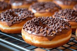 Close up of many donuts with chocolate frosting and chocolate chips on a metal cooling rack. Sweet baked goods background. photo