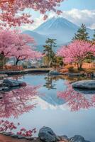 Pink cherry blossom trees bloom near a pond reflecting a snow capped mountain. Serene nature scene with blue sky and clouds. photo