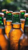 Cold beer bottles. Group of refreshing drinks. Golden caps on green glass. Water droplets on surface. Blurred background. Cool beverages for gatherings. photo