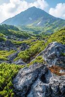 Mountain peak under bright sky. Green bushes and rocks cover slope. Mountain landscape with scenic view. Sunlight on mountain in summer. photo