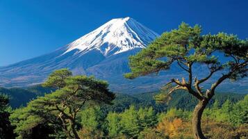 Snowy mountain peak rises behind green forest under bright blue sky. Two pine trees stand prominently in the foreground. Natural light illuminates the landscape. photo