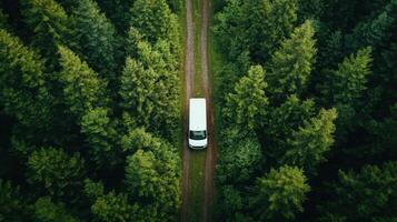 White van driving on a dirt road. Lush green trees line the road. Aerial view of vehicle in the forest. Woodland scene. photo