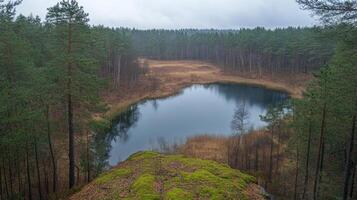 Quiet lake reflects gray sky surrounded by evergreen trees with mossy rocks in foreground and brown grasses on distant shore in autumn season. photo
