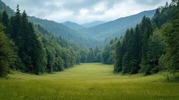 Green meadow surrounded by trees leads to forest and mountains under cloudy sky. Evergreen trees on rolling hills in peaceful nature landscape. photo