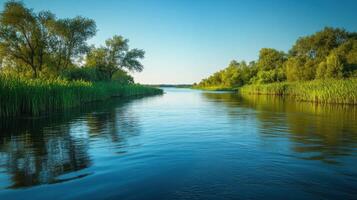 Calm river water flows through a lush green landscape. Tall grass and trees line both sides under a clear blue sky on a bright sunny day. photo
