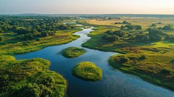 Aerial view of a winding river flowing through a green landscape with grass and scattered trees under a bright sky in a rural environment photo