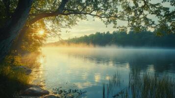 Lake view at dawn. Sunrise light through tree branch. Mist over the calm water. Forest visible in background. Peaceful nature scene. Reflections on the lake surface. photo