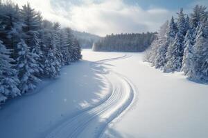 Snow covered forest with tracks. Winter landscape with trees and sunlight. Curve track in open snowy field near woods. photo