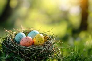 Happy Easter. Speckled eggs sit in a small bird nest outside. Spring grass and green trees surround the nest in sunlight. Bright and colorful. photo