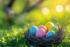Happy Easter. Colorful speckled eggs sit in a twig nest on bright green grass with soft sunlight background. A simple celebration of spring. photo