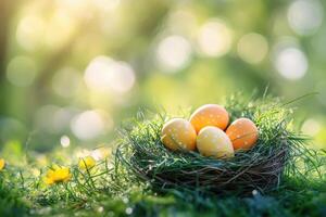 Happy Easter. Speckled eggs lie in grass nest. Light shines on meadow. Yellow and orange colored eggs close up in sunlit blurry field. photo