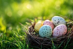 Happy Easter. Speckled eggs in nest lie on lush green grass. Colorful eggs in soft lighting. Springtime eggs in birds nest in the sunlight. photo