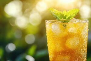 Iced drink with ice cubes and a mint garnish served outside with a blurry green background and bright sunlight shining through leaves photo