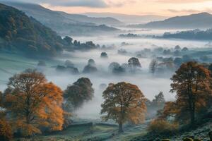 Autumn trees stand over valley. Morning fog hangs in the air. Rolling hills fade into distance. A peaceful landscape scene photo