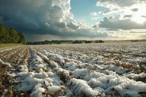 Rural landscape showing open field with white hail after storm dramatic sky trees farm sun weather nature country outdoors photo